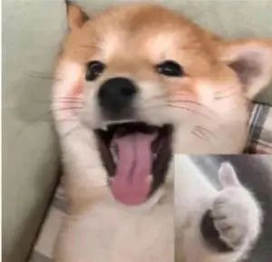 DƬ